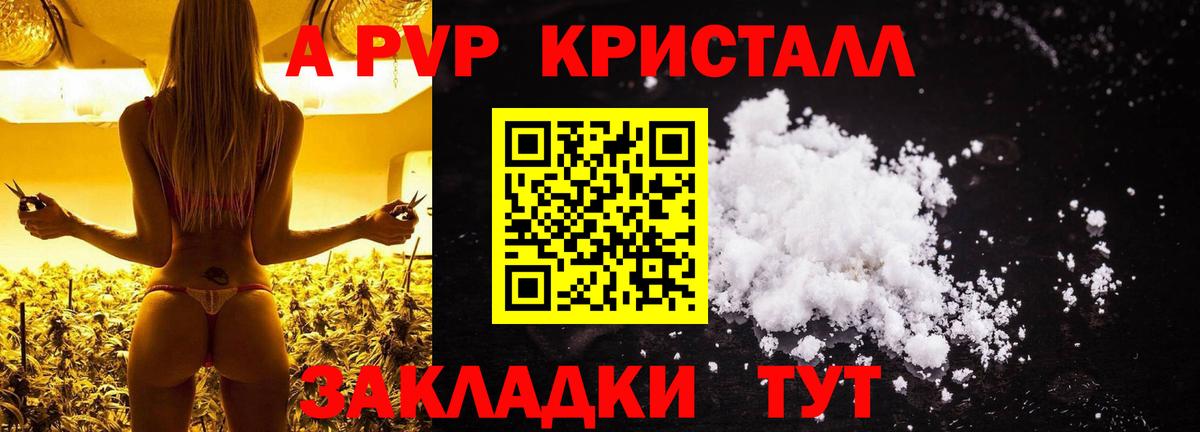 Альфа ПВП СК КРИС  Вход с VPN  Алексин  APVP VHQ 