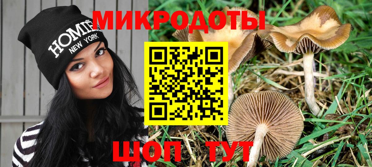 Псилоцибиновые грибы мицелий  Вход с VPN  Галлюциногенные грибы ЛСД  что такое наркотик  Алексин 